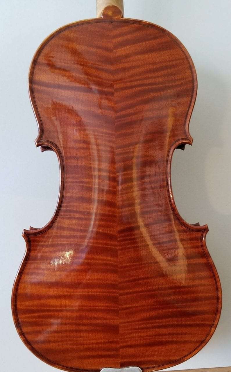 Folland_Back.jpg